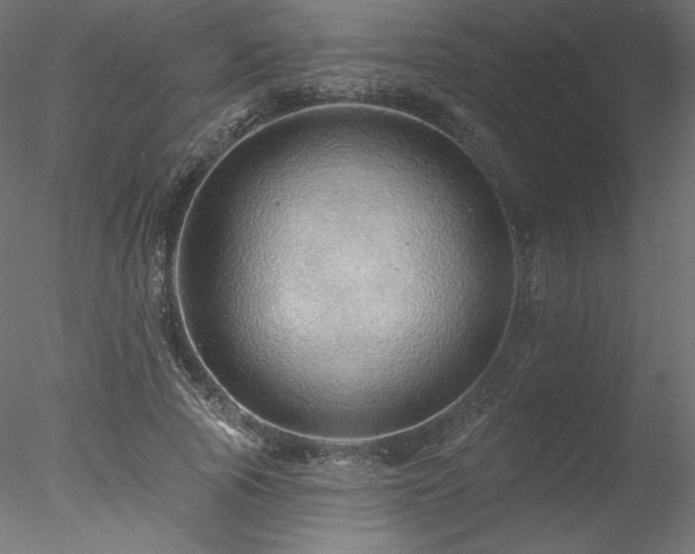 X0000078270737200611031142