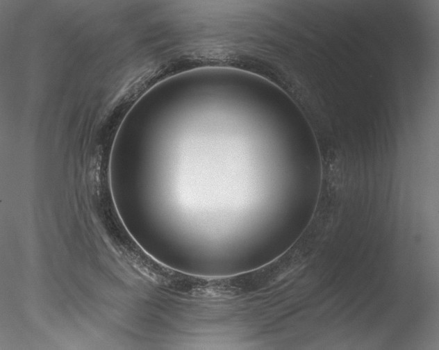 X0000078270739200611031142