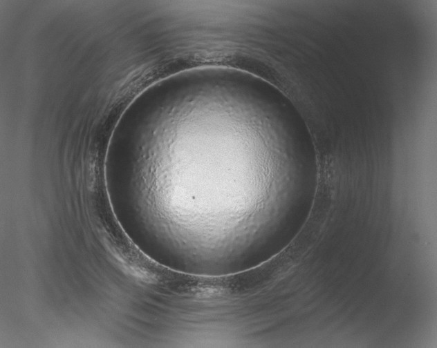 X0000078270741200611031142