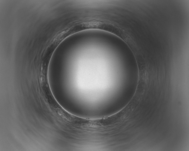 X0000078270743200611031142