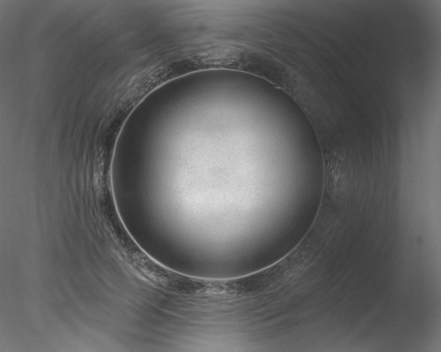 X0000078270745200611031142