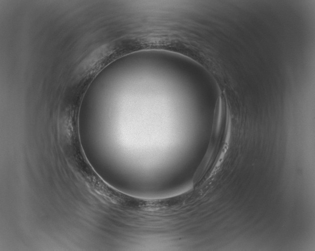 X0000078270746200611031142