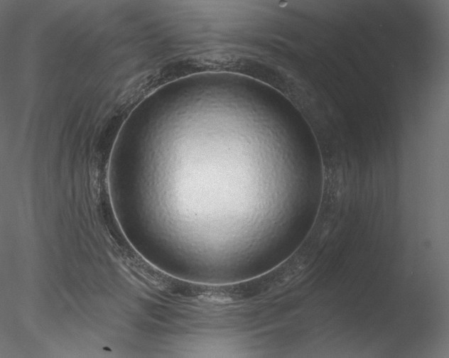 X0000078270749200611031142