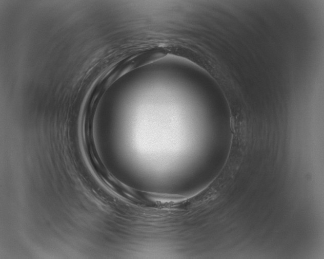 X0000078270750200611031142