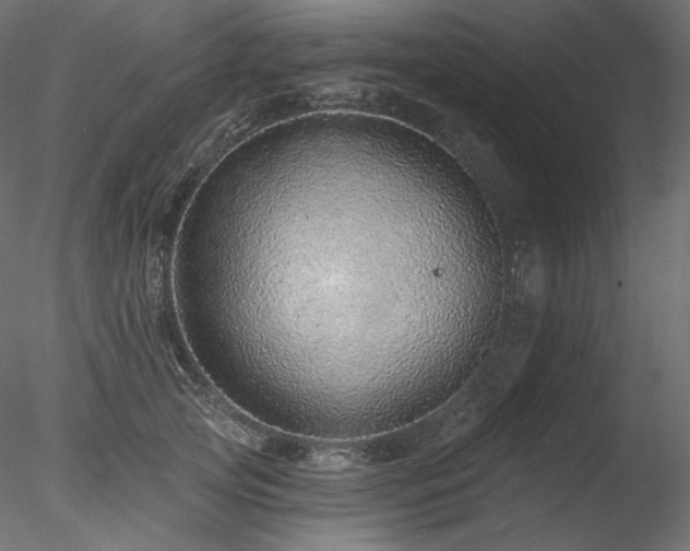 X0000078270753200611031142