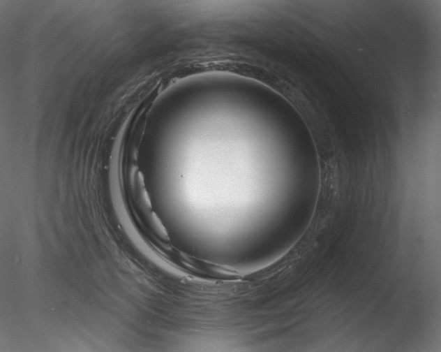 X0000078270754200611031142