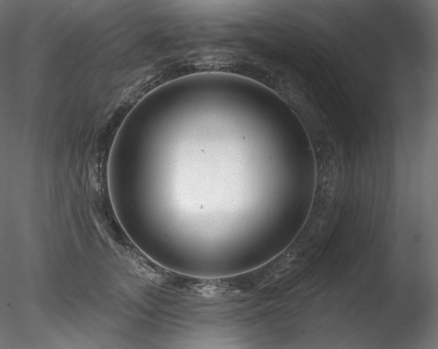 X0000078270755200611031142