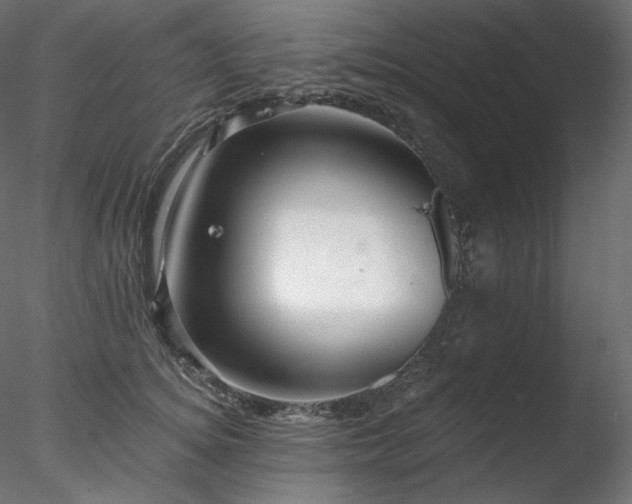 X0000078270756200611031142