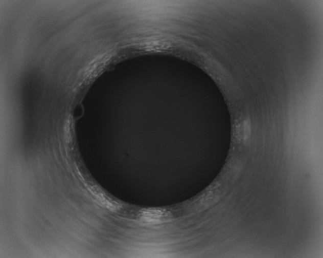 X0000078270757200611031142