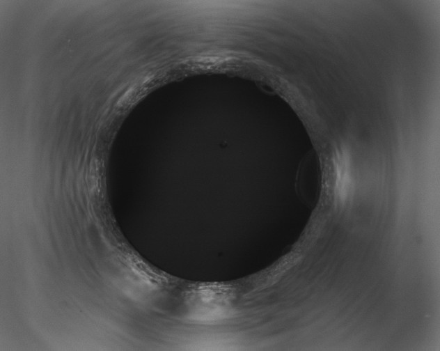 X0000078270758200611031142