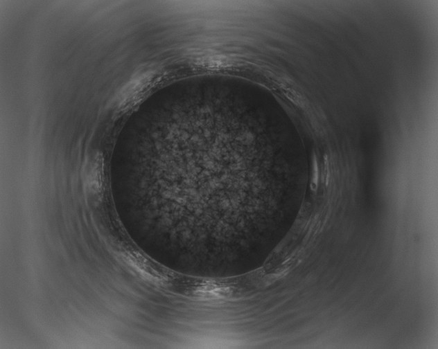 X0000078270760200611031142