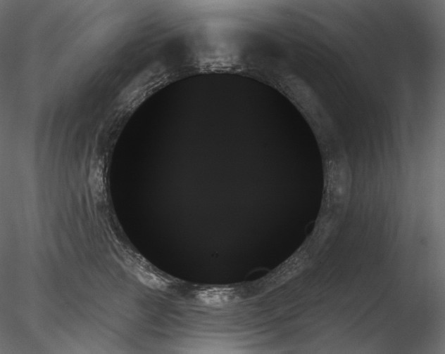 X0000078270761200611031142