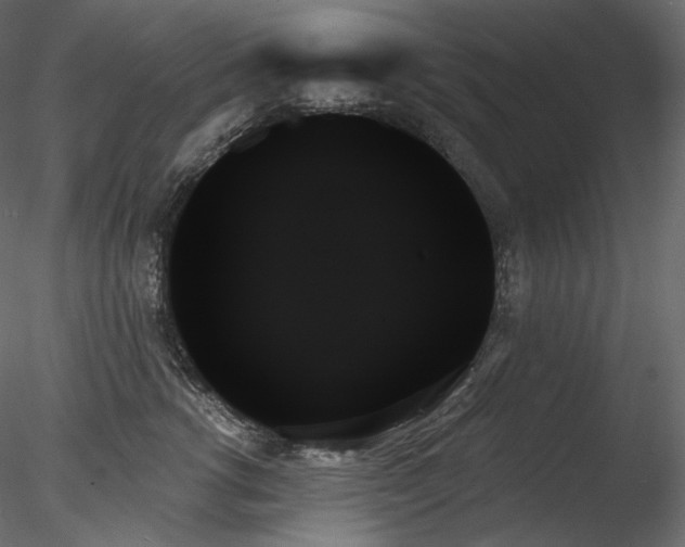 X0000078270762200611031142