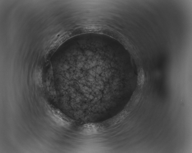 X0000078270764200611031142