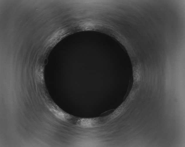 X0000078270766200611031142