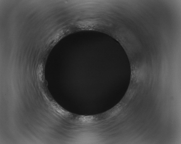 X0000078270767200611031142