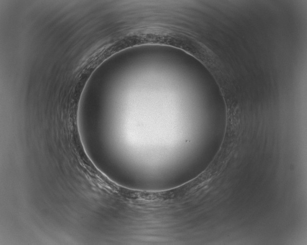 X0000078270774200611031141