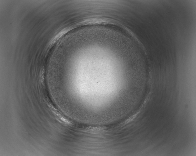 X0000078270778200611031141