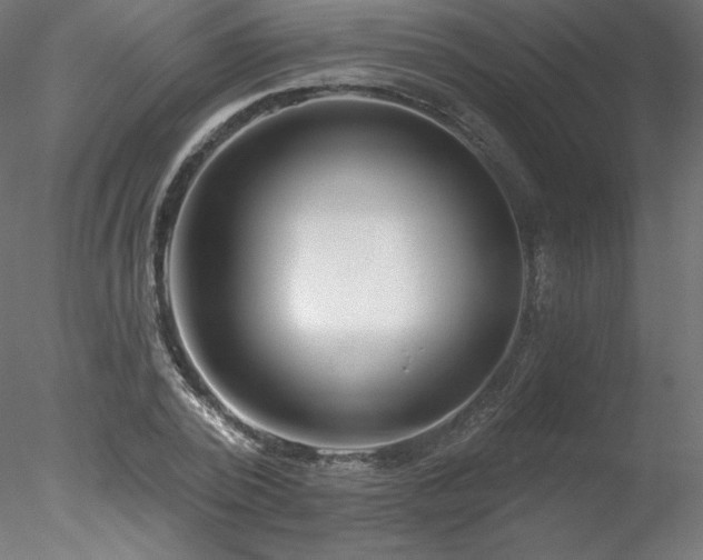 X0000078270784200611031141