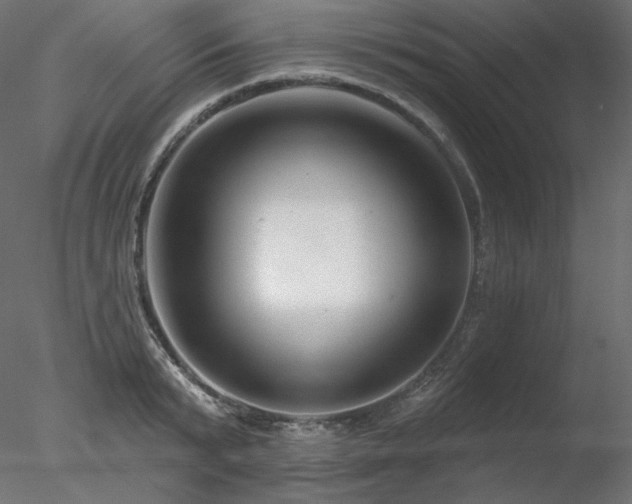 X0000078270799200611031141