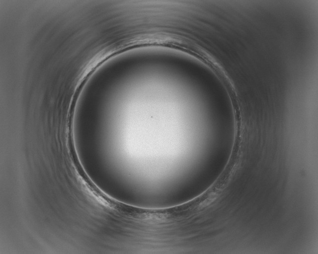 X0000078270802200611031141