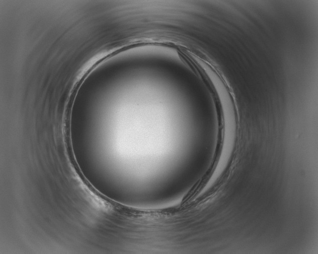 X0000078270803200611031141