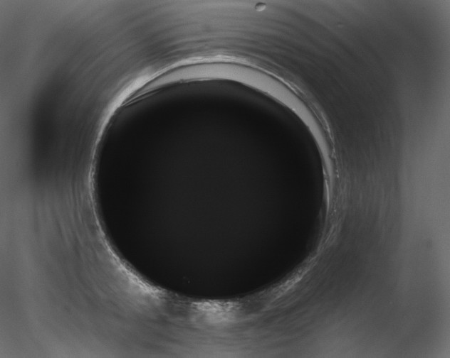 X0000078270805200611031141
