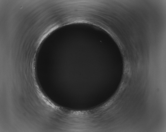 X0000078270806200611031141