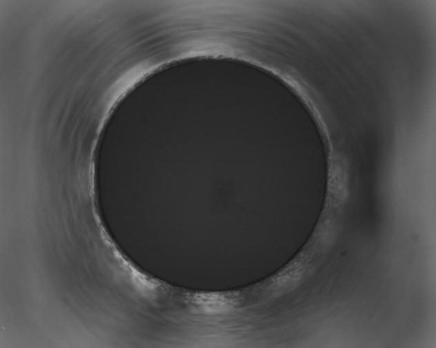 X0000078270807200611031141