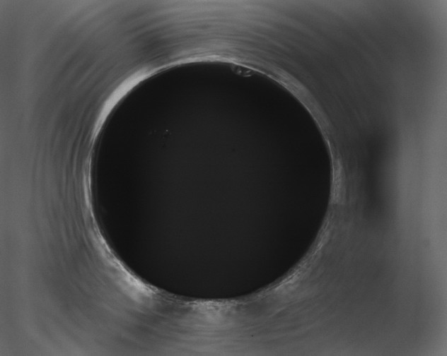 X0000078270812200611031141