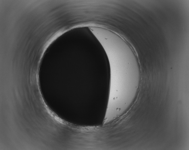 X0000078270813200611031141