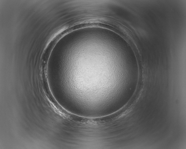 X0000078270827200611031140