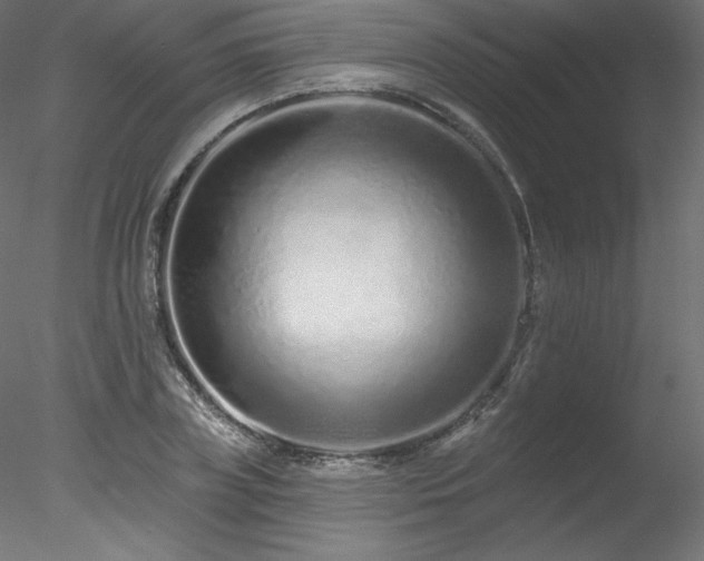 X0000078270835200611031140