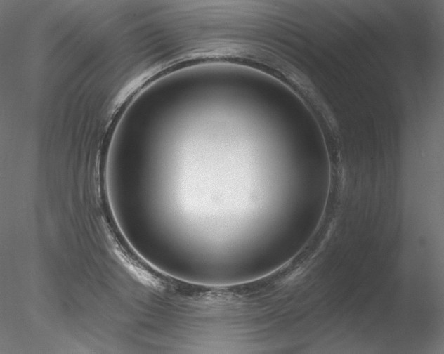 X0000078270842200611031140