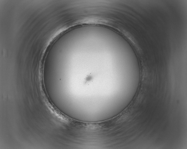 X0000078270848200611031140