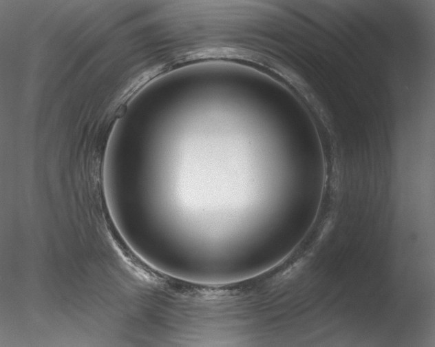 X0000078270849200611031140