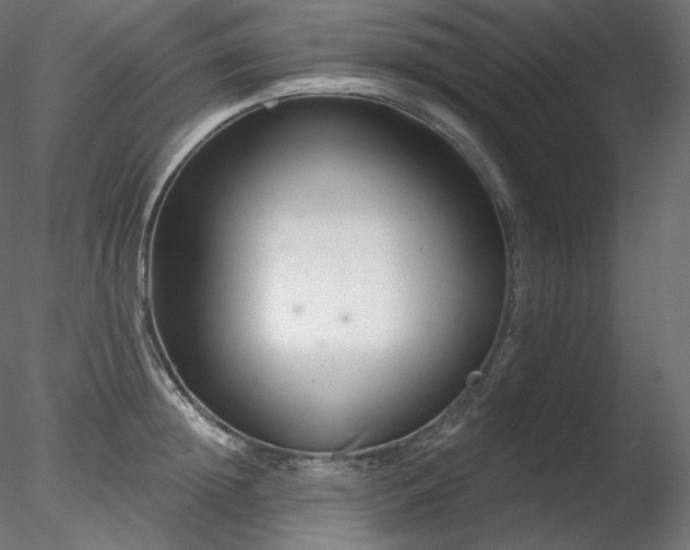 X0000078270852200611031140