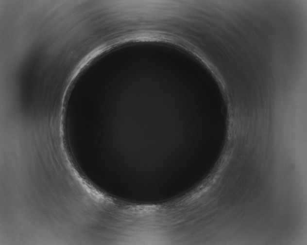 X0000078270853200611031140