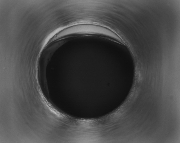 X0000078270854200611031140