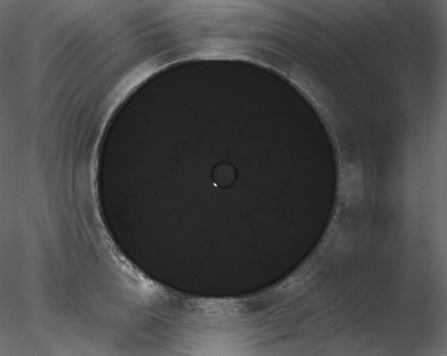 X0000078270856200611031140