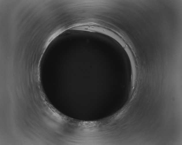 X0000078270858200611031141