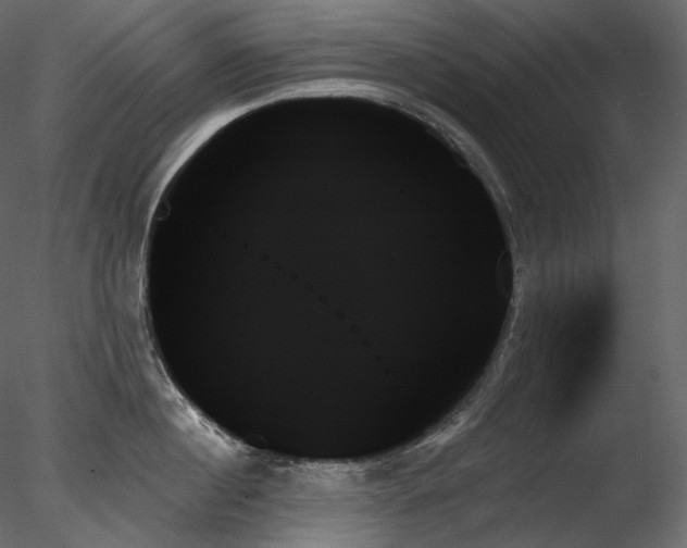 X0000078270860200611031141