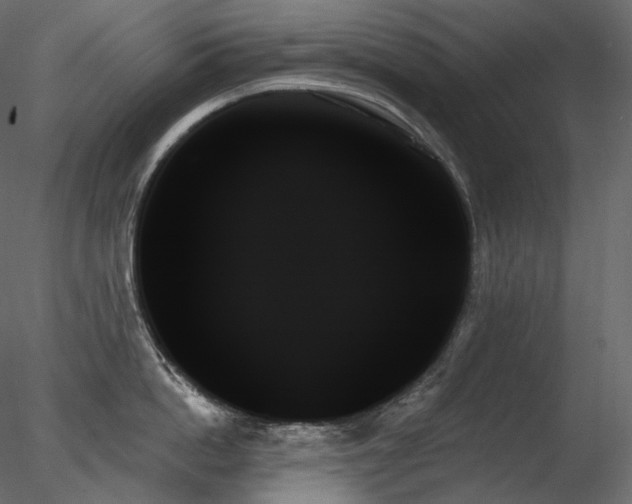X0000078270862200611031141