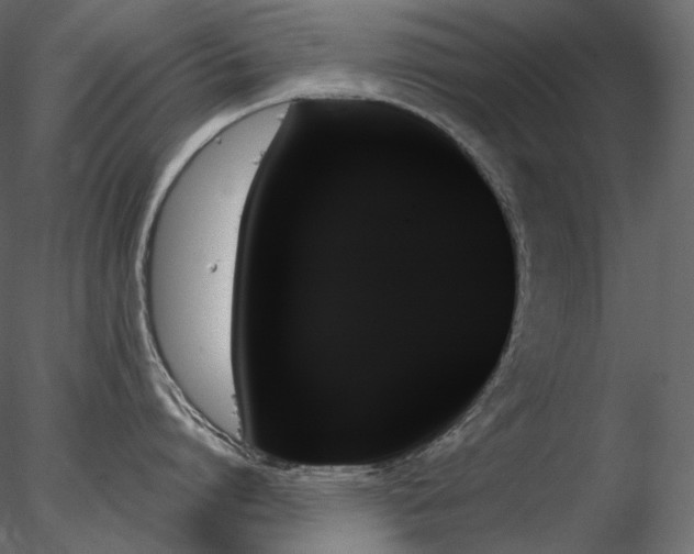 X0000078270864200611031141