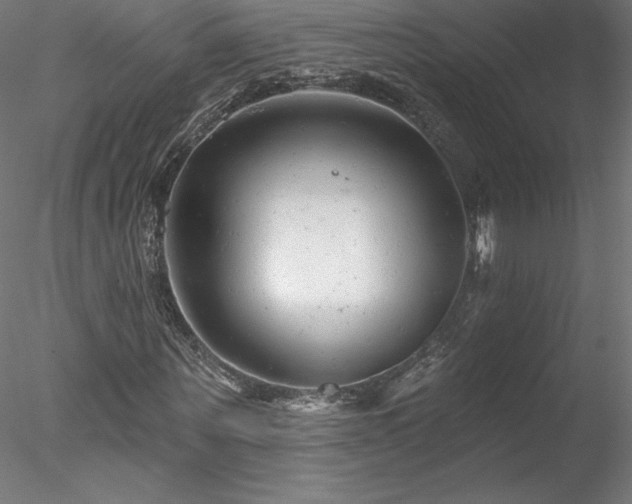 X0000078270867200611031140