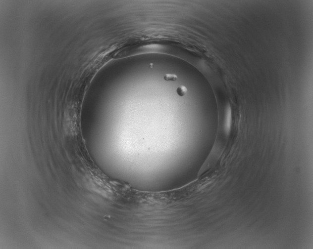 X0000078270868200611031140