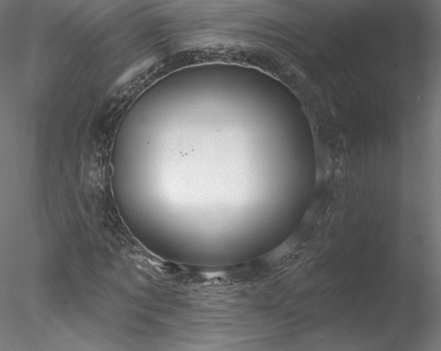 X0000078270869200611031140