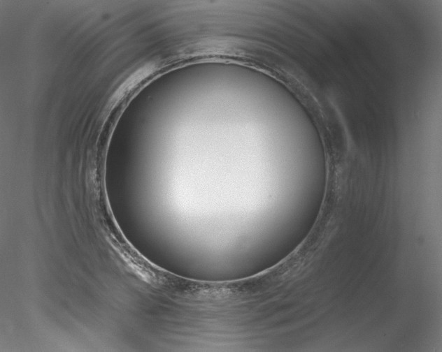 X0000078270882200611031140