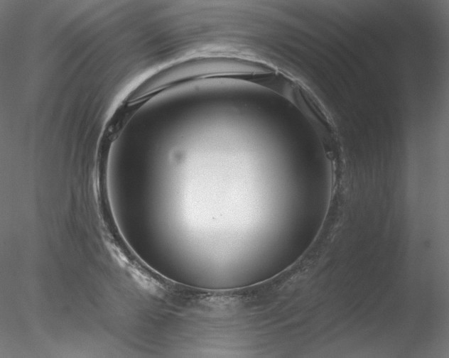 X0000078270888200611031139