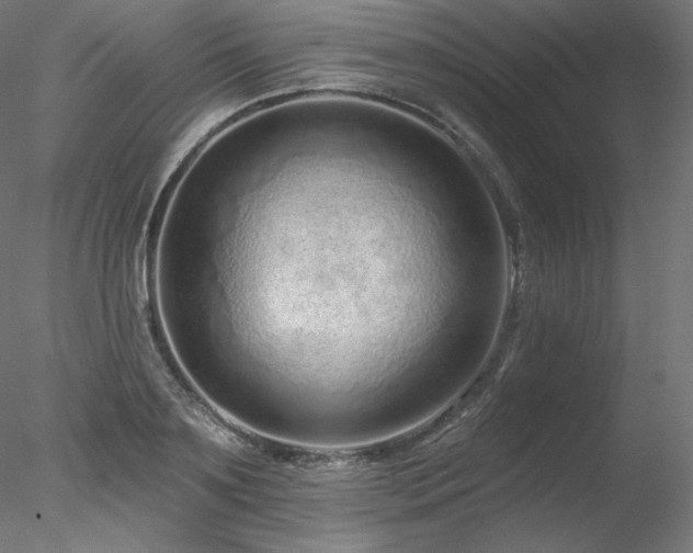 X0000078270891200611031139
